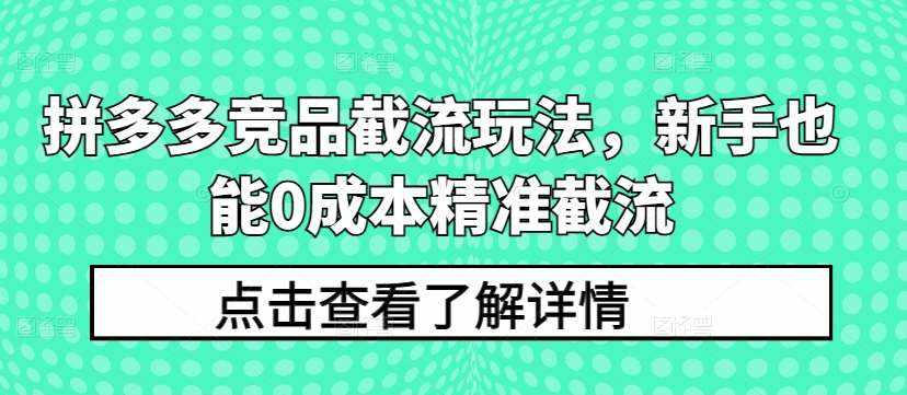 拼多多竞品截流玩法，新手也能0成本精准截流-泰戈创艺资源库