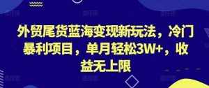 外贸尾货蓝海变现新玩法,冷门暴利项目,单月轻松3W+,收益无上限【揭秘】-泰戈创艺资源库