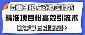 精准项目粉高效引流术,新手单日引流50+,多重变现方式稳定赚钱【揭秘】-泰戈创艺资源库