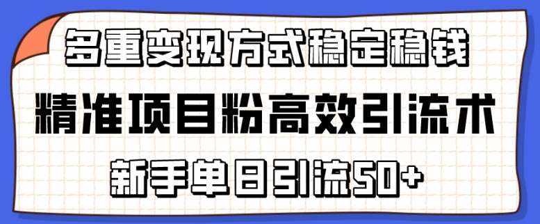 精准项目粉高效引流术，新手单日引流50+，多重变现方式稳定赚钱【揭秘】-泰戈创艺资源库