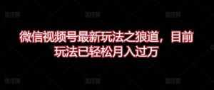 微信视频号最新玩法之狼道,目前玩法已轻松月入过万【揭秘】-泰戈创艺资源库