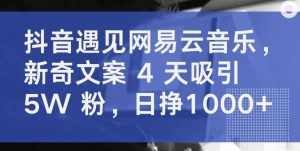 抖音遇见网易云音乐，新奇文案 4 天吸引 5W 粉，日挣1000+【揭秘】-泰戈创艺资源库