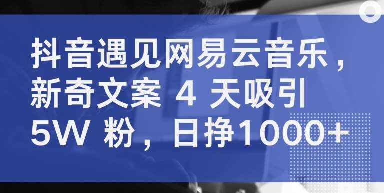 抖音遇见网易云音乐，新奇文案 4 天吸引 5W 粉，日挣1000+【揭秘】-泰戈创艺资源库