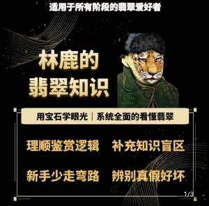 林鹿的翡翠知识，​用宝石眼光，系统全面的看懂翡翠-泰戈创艺资源库