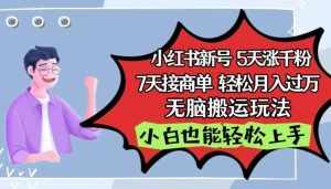 小红书影视泥巴追剧5天涨千粉，7天接商单，轻松月入过万，无脑搬运玩法【揭秘】-泰戈创艺资源库