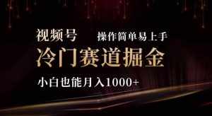 (11378期)2024视频号冷门赛道掘金,操作简单轻松上手,小白也能月入1000+-泰戈创艺资源库