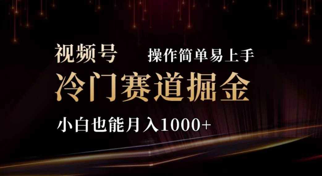 （11378期）2024视频号冷门赛道掘金，操作简单轻松上手，小白也能月入1000+-泰戈创艺资源库