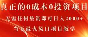 （11387期）真正的0成本0投资项目，无需任何垫资即可日入2000+，当下最火风口项目教学-泰戈创艺资源库