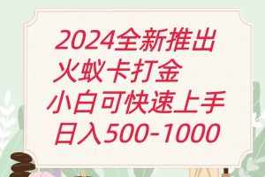 2024火蚁卡打金最新玩法和方案,单机日收益600+-泰戈创艺资源库