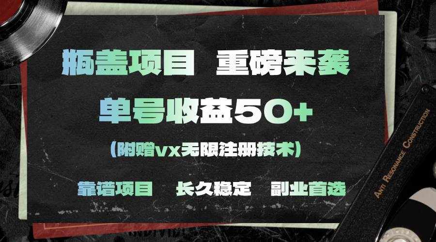 （11381期）一分钟一单，一单利润30+，适合小白操作-泰戈创艺资源库