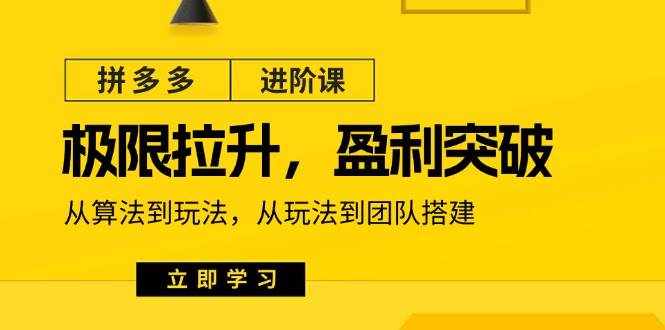 （11435期）拼多多·进阶课：极限拉升/盈利突破：从算法到玩法 从玩法到团队搭建-18节-泰戈创艺资源库