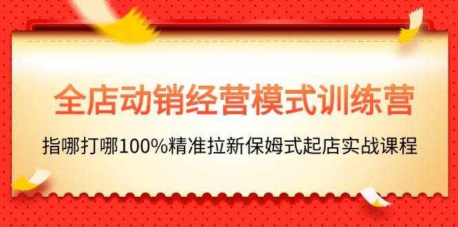 （11460期）全店动销-经营模式训练营，指哪打哪100%精准拉新保姆式起店实战课程-泰戈创艺资源库