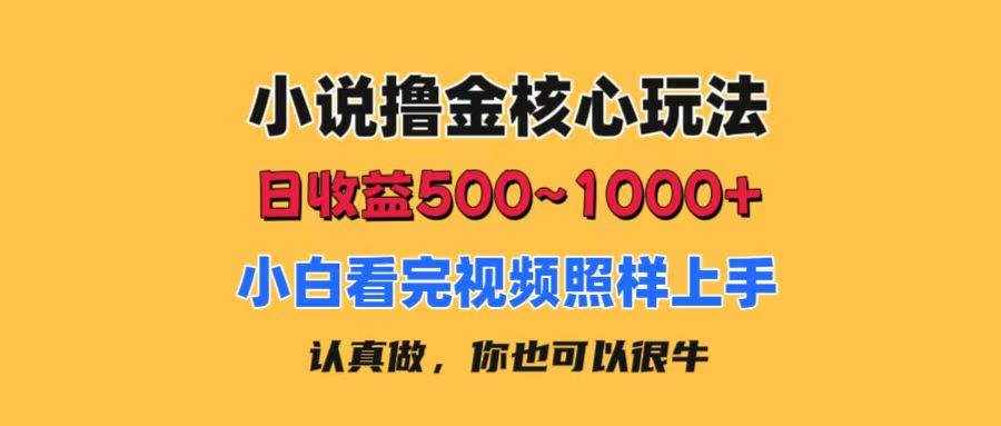 (11461期)小说撸金核心玩法,日收益500-1000+,小白看完照样上手,0成本有手就行-泰戈创艺资源库