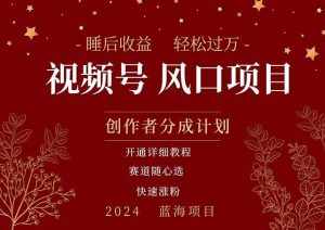 （11331期）拥有睡眠收益的微信视频号大风口项目，轻松月入过万+，多赛道选择，可…-泰戈创艺资源库