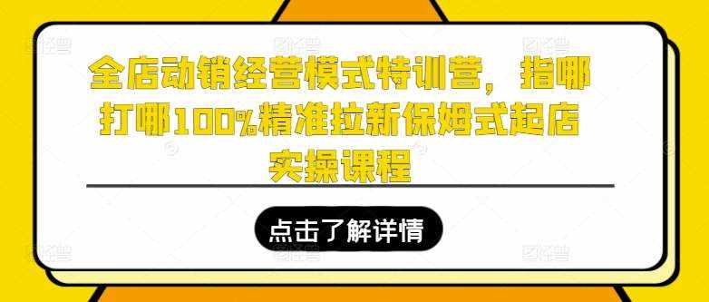 全店动销经营模式特训营，指哪打哪100%精准拉新保姆式起店实操课程-泰戈创艺资源库