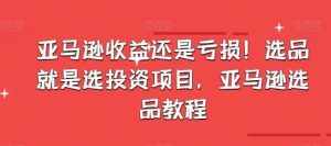 亚马逊收益还是亏损!选品就是选投资项目,亚马逊选品教程-泰戈创艺资源库