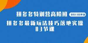 2023拼多多·特训营高阶班【9月13日更新】拼多多最新玩法技巧落地实操-83节-泰戈创艺资源库