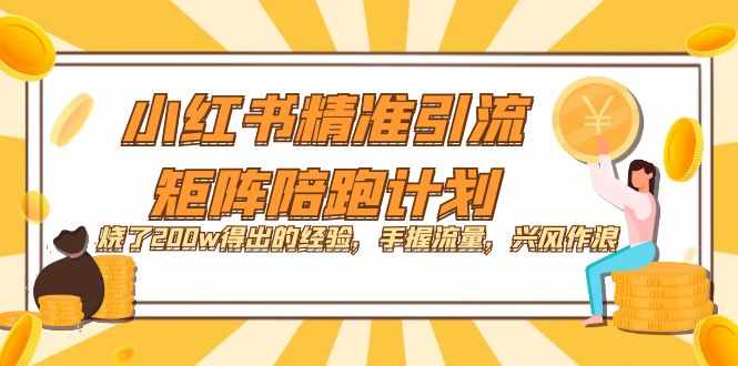 小红书精准引流·矩阵陪跑计划：烧了200w得出的经验，手握流量，兴风作浪！-泰戈创艺资源库