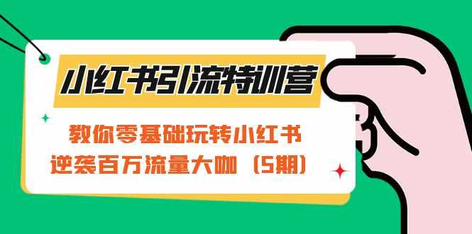 小红书引流特训营-第5期：教你零基础玩转小红书，逆袭百万流量大咖-泰戈创艺资源库