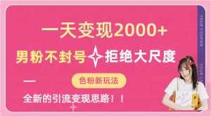 一天收款2000元，男粉不封号拒绝大尺度-色粉全新的变现方法-泰戈创艺资源库