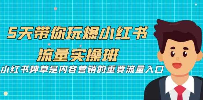 5天带你玩爆小红书流量实操班，小红书种草是内容营销的重要流量入口-泰戈创艺资源库