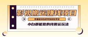 手把手教你操作影视搬运项目，小白都能做零基础也能赚钱-泰戈创艺资源库