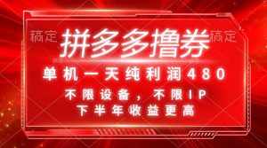 (11597期)拼多多撸券,单机一天纯利润480,下半年收益更高,不限设备,不限IP。-泰戈创艺资源库