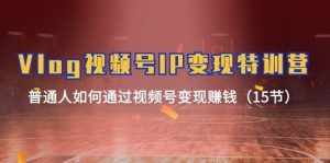 Vlog视频号IP变现特训营,普通人如何通过视频号变现赚钱(15节)-泰戈创艺资源库