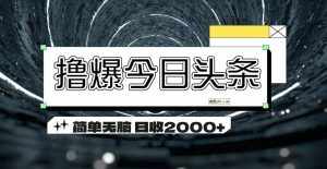 (11665期)撸爆今日头条 简单无脑操作 日收2000+-泰戈创艺资源库