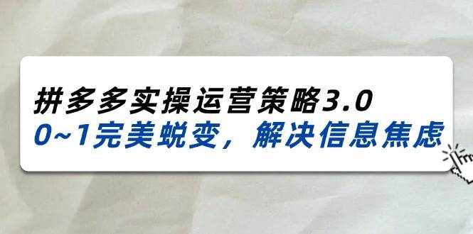 （11658期）2024_2025拼多多实操运营策略3.0，0~1完美蜕变，解决信息焦虑（38节）-泰戈创艺资源库