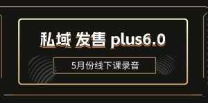 （11612期）私域 发售 plus6.0【5月份线下课录音】/全域套装 sop流程包，社群发售…-泰戈创艺资源库