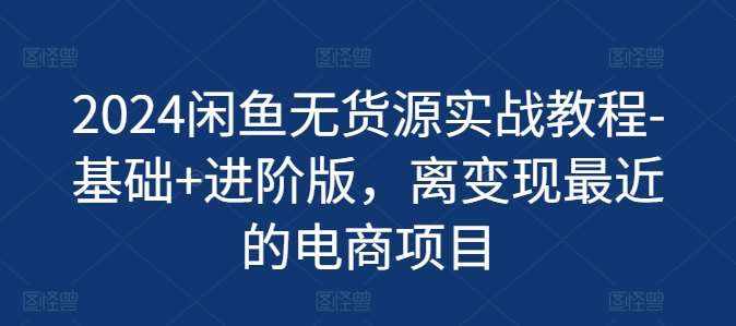 2024闲鱼无货源实战教程-基础+进阶版，离变现最近的电商项目-泰戈创艺资源库