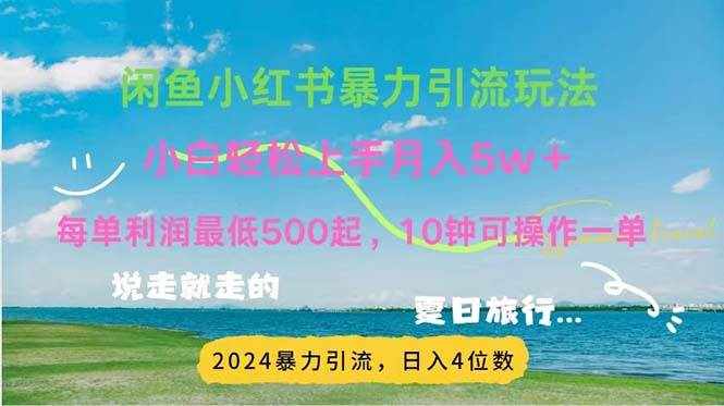 （11650期）2024暑假赚钱项目小红书咸鱼暴力引流，简单无脑操作，每单利润500+，…-泰戈创艺资源库