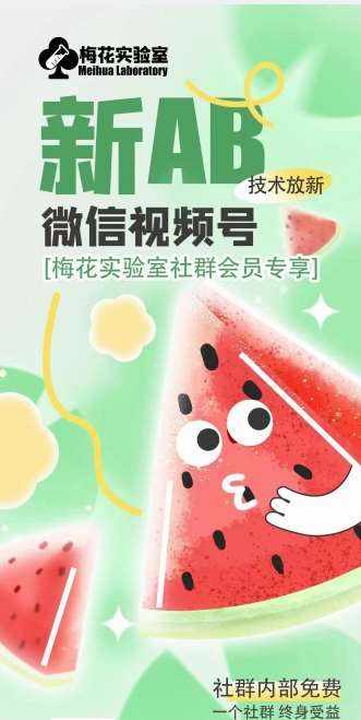梅花实验室2024年AB技术视频号AB合成破解版-泰戈创艺资源库