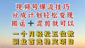 视频号爆流技巧,分成计划轻松变现,搬运 +混剪就可以,一个月轻松五位数稳定项目【揭秘】-泰戈创艺资源库