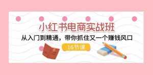 小红书电商实战班，从入门到精通，带你抓住又一个赚钱风口（17节）-泰戈创艺资源库