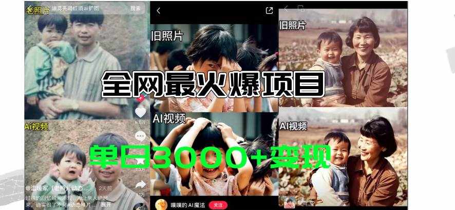 （11546期）全网爆火的AI让老照片动起来教程，蹭热点日赚3000+，内含免费工具一键…-泰戈创艺资源库
