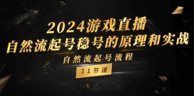（11653期）2024游戏直播-自然流起号稳号的原理和实战，自然流起号流程（11节）-泰戈创艺资源库