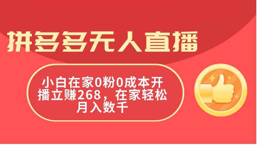 （11521期）拼多多无人直播，小白在家0粉0成本开播立赚268，在家轻松月入数千-泰戈创艺资源库
