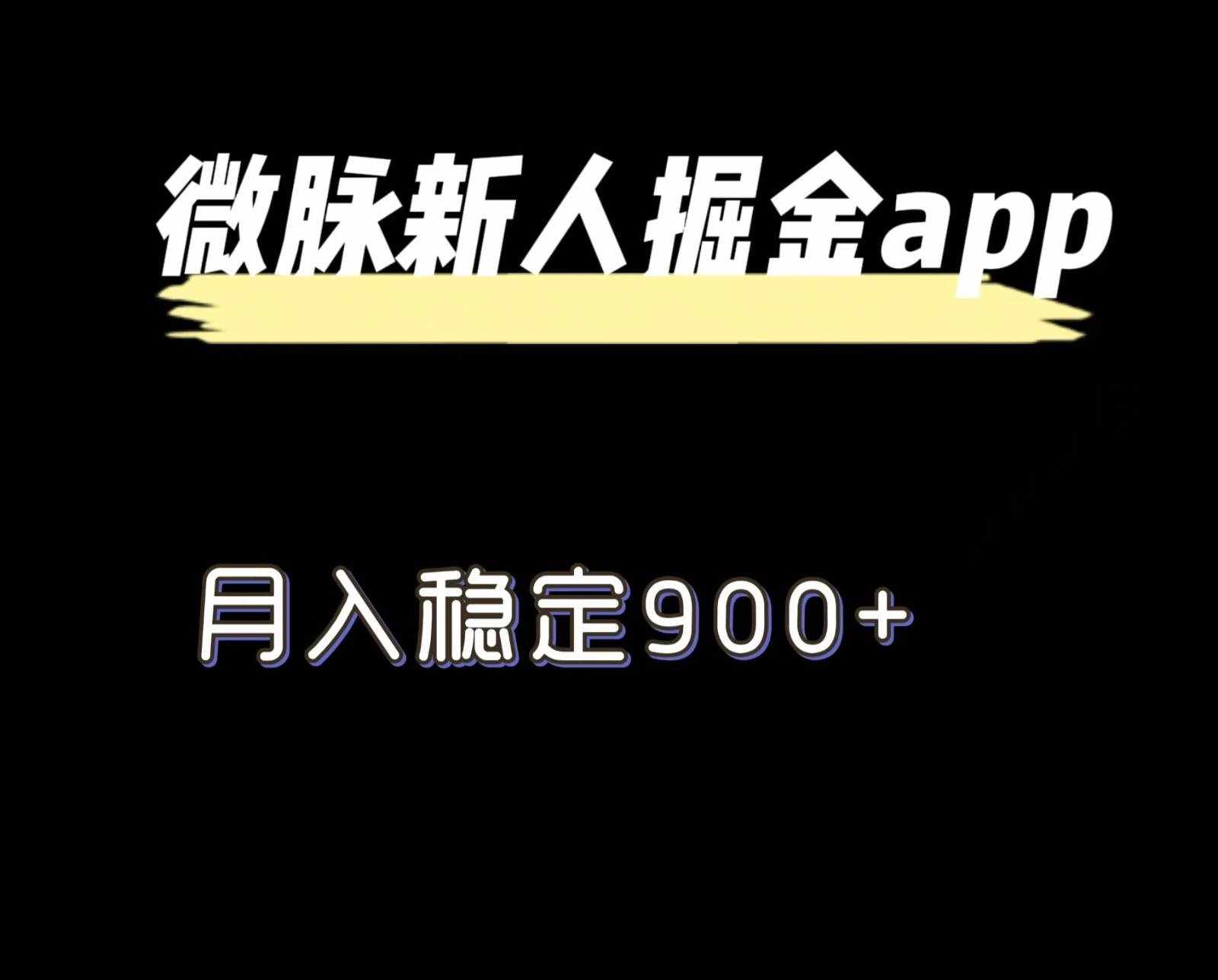 最新微脉长久项目，拉新掘金，月入稳定900+-泰戈创艺资源库