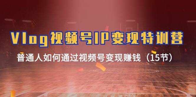 （11654期）Vlog 视频号IP变现特训营，普通人如何通过视频号变现赚钱（15节）-泰戈创艺资源库