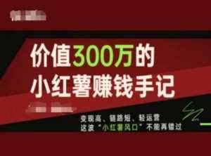 价值300万的小红书赚钱手记，变现高、链路短、轻运营，这波“小红薯风口”不能再错过-泰戈创艺资源库