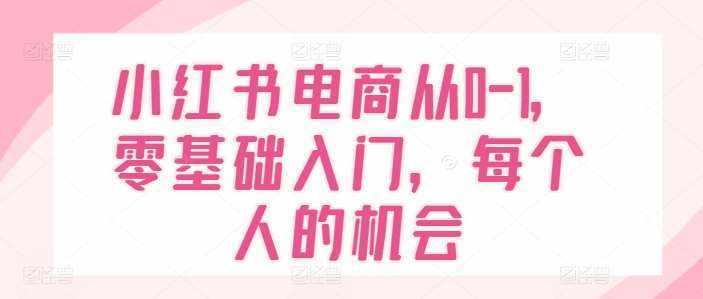 小红书电商从0-1，零基础入门，每个人的机会-泰戈创艺资源库