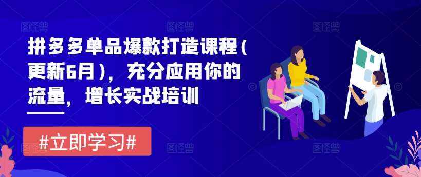 拼多多单品爆款打造课程(更新6月)，充分应用你的流量，增长实战培训-泰戈创艺资源库