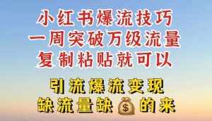 小红书爆流技巧，一周突破万级流量，复制粘贴就可以，引流爆流变现【揭秘】-泰戈创艺资源库