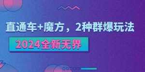 (11479期)2024全新无界:直通车+魔方,2种群爆玩法-泰戈创艺资源库