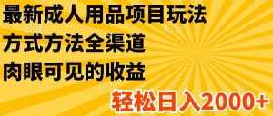 最新成人用品项目玩法，方式方法全渠道，肉眼可见的收益，轻松日入2000+-泰戈创艺资源库