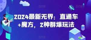 2024最新无界:直通车+魔方,2种群爆玩法-泰戈创艺资源库