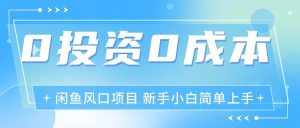 （11614期）最新风口项目闲鱼空调3.0玩法，月入过万，真正的0成本0投资项目-泰戈创艺资源库