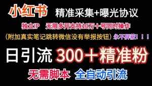 小红薯精准采集＋无限曝光＋真实笔记跳转微信，永不屏蔽（日引300＋精准粉）-泰戈创艺资源库